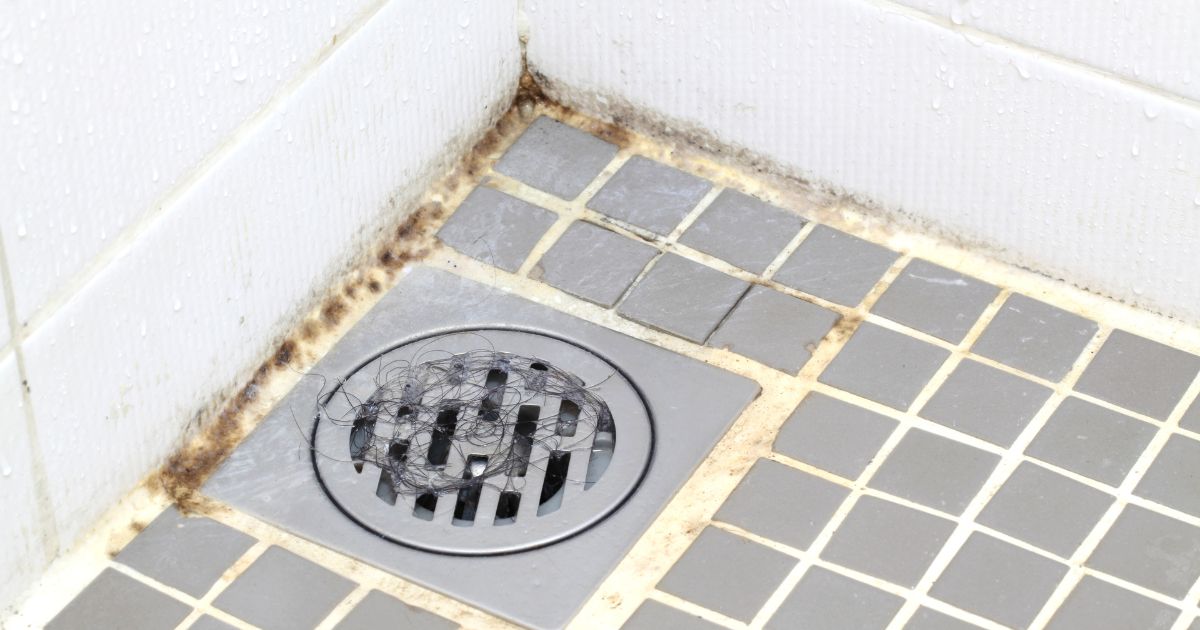 sprchovy-kout-plisen